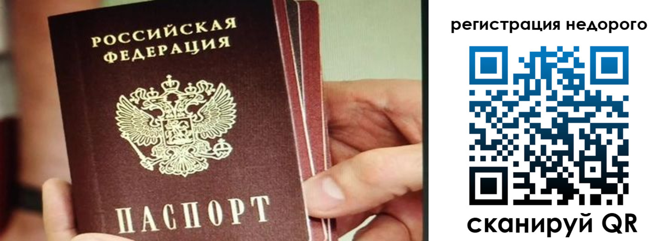 прописка в квартире в Нелидово